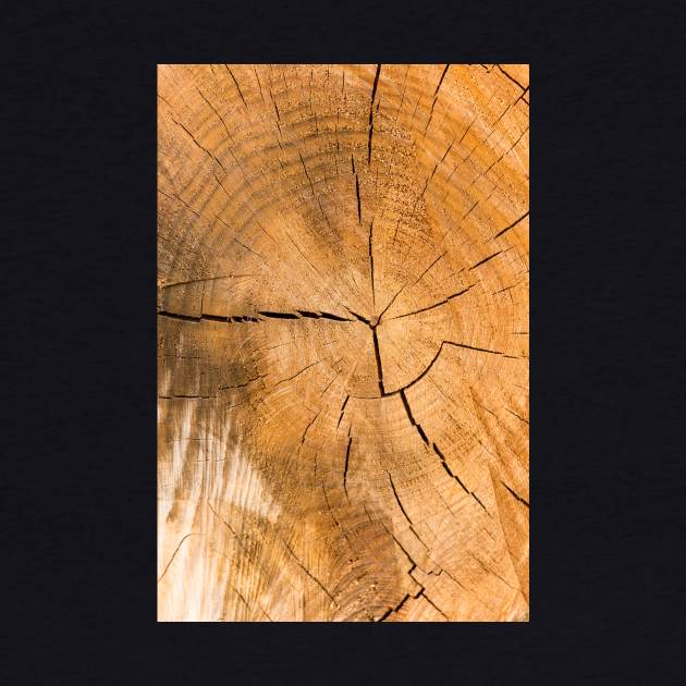 Wooden Tree Circle Texture - Alternative by textural